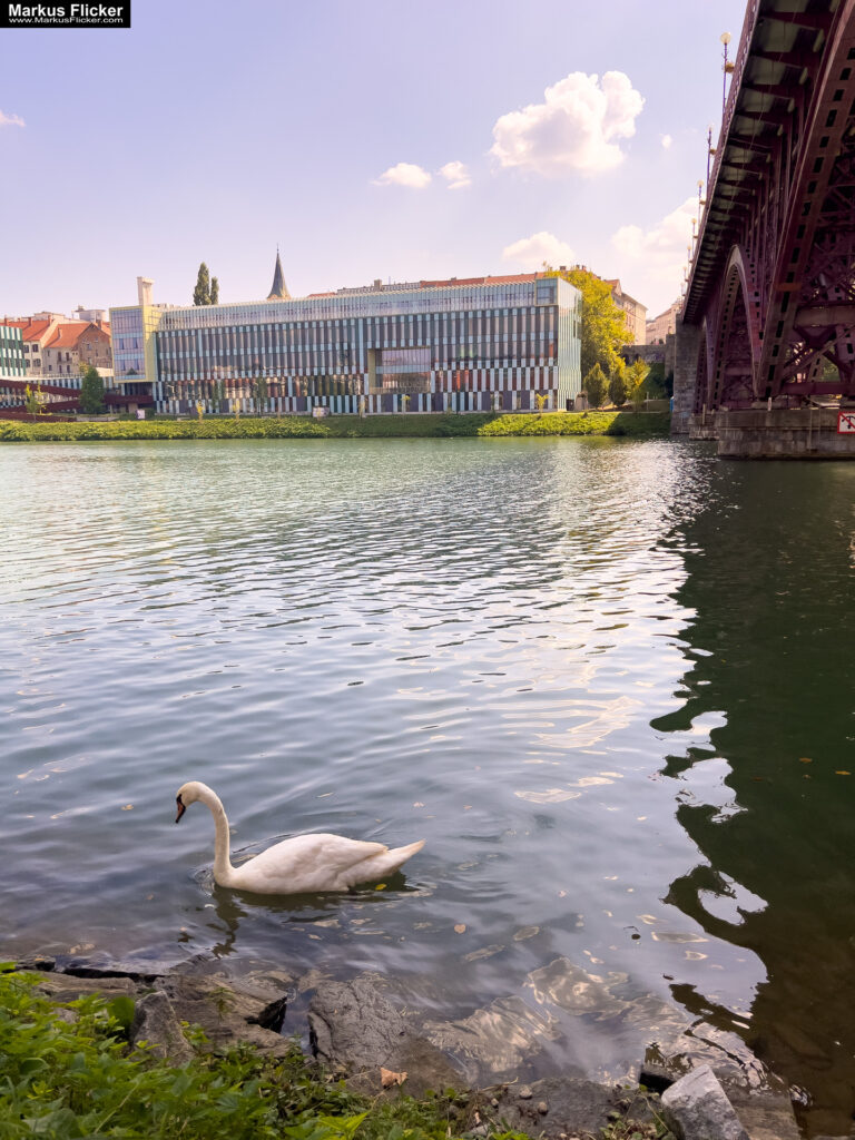 Maribor Marburg an der Drau Drava in Slowenien Roadtrip Städtereise #ifeelsLOVEnia #visitmaribor inkl. 37 Reisetipps. Roadtrip in Europa. Reisen mit dem Auto innerhalb der EU. Citytrips, Camping, Landschaft, Rundfahrt mit dem PKW, romantische Städte und Urlaubsinspiration