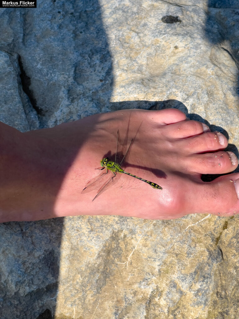 Bau dir was Schönes! Was nicht passt, wird passend gemacht: Kreative Fotomotive selbst erstellen mit Kindern und Steinen. Kreativität im Alltag: Einfache Materialien, große Wirkung. Die Magie des Permanent Markers: Einfache Kunst für alle. Fotografieren statt suchen: Das Motiv selbst gestalten. Licht und Schatten: Die richtige Stimmung für dein Motiv. Beispiele aus der Praxis: Kreative Fotomotive mit Kindern. Fotomotive selbst erstellen statt suchen