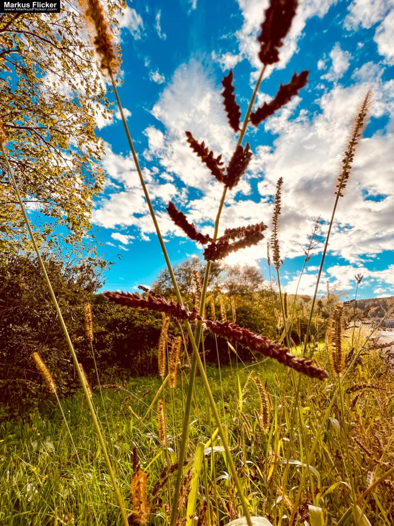 Entdecke die Kreativität: Wie man mit Weitwinkel-Objektiven und Smartphones beeindruckende Fotos und Videos aufnimmt. Kreative Fotografie, Videos und Bildideen mit dem Smartphone. Fotografieren und Filmen mit dem Smartphone: Bessere Fotos und Videos mit dem Handy für Freizeit, Hobby und Business