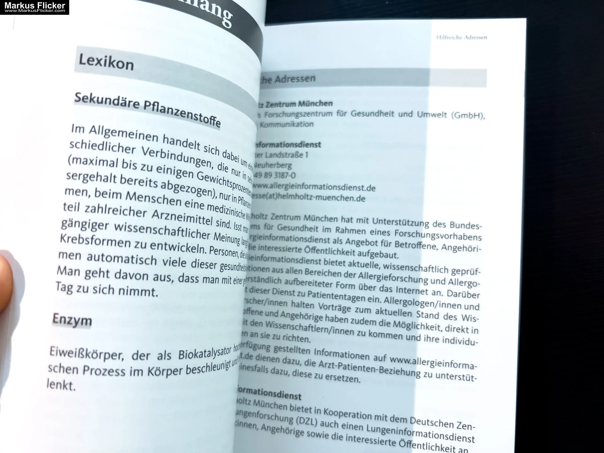 Asthma – Das Selbsthilfebuch von Andrea Flemmer