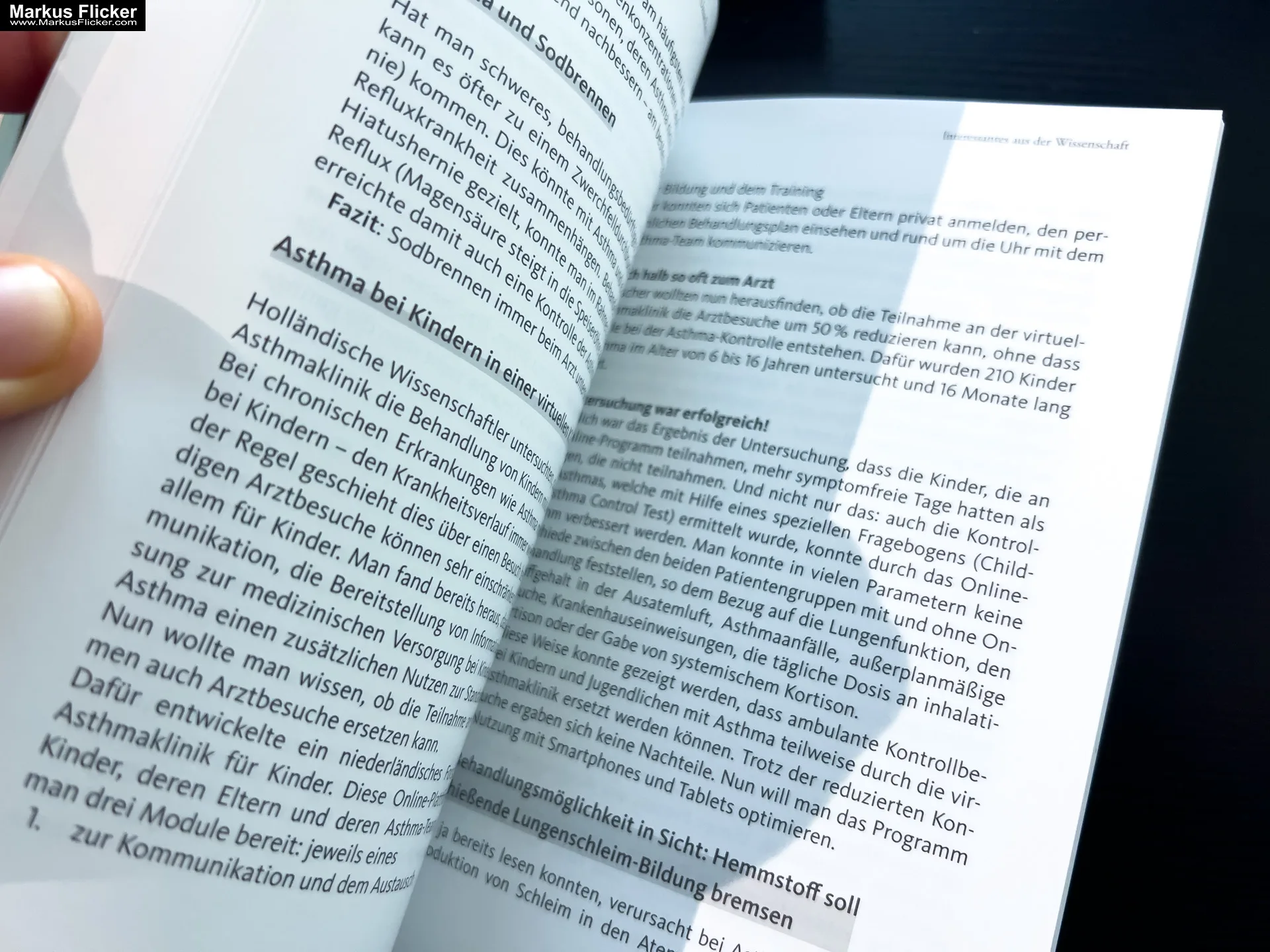 Asthma – Das Selbsthilfebuch von Andrea Flemmer