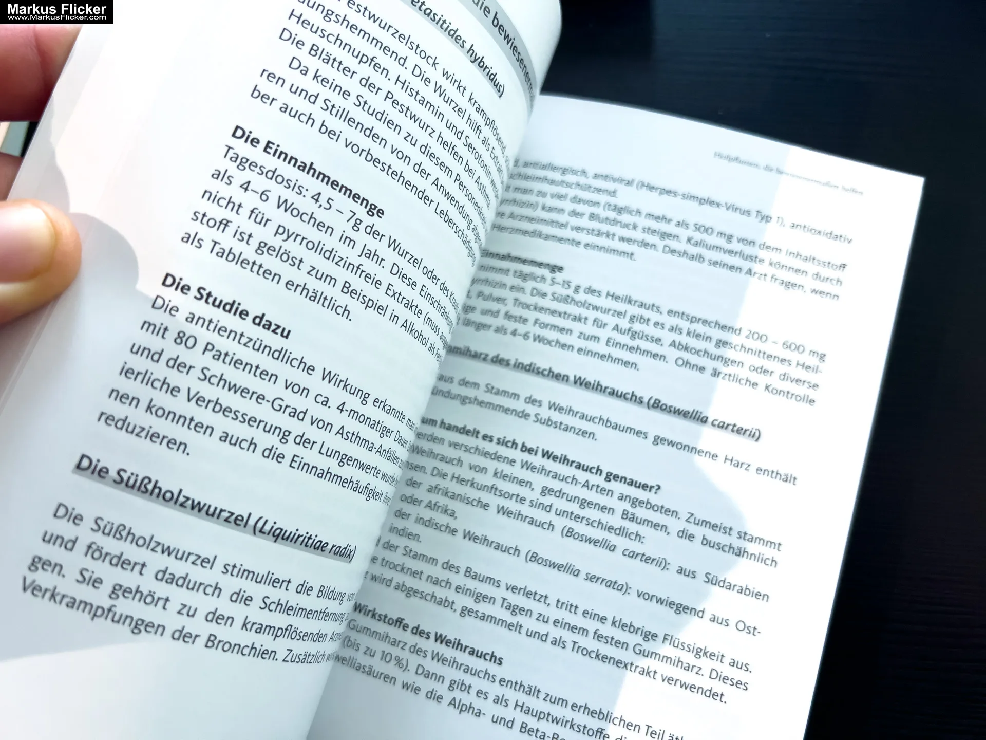 Asthma – Das Selbsthilfebuch von Andrea Flemmer