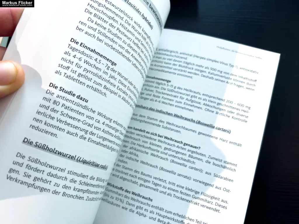 Asthma – Das Selbsthilfebuch von Andrea Flemmer Asthma – Das Selbsthilfebuch von Andrea Flemmer