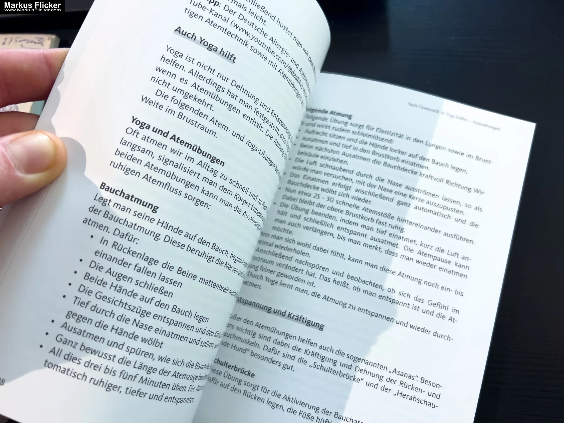 Asthma – Das Selbsthilfebuch von Andrea Flemmer