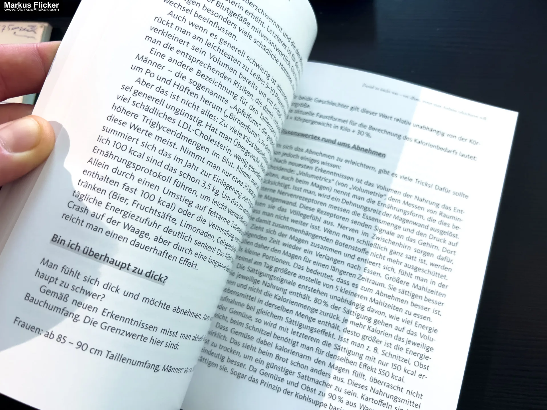 Asthma – Das Selbsthilfebuch von Andrea Flemmer