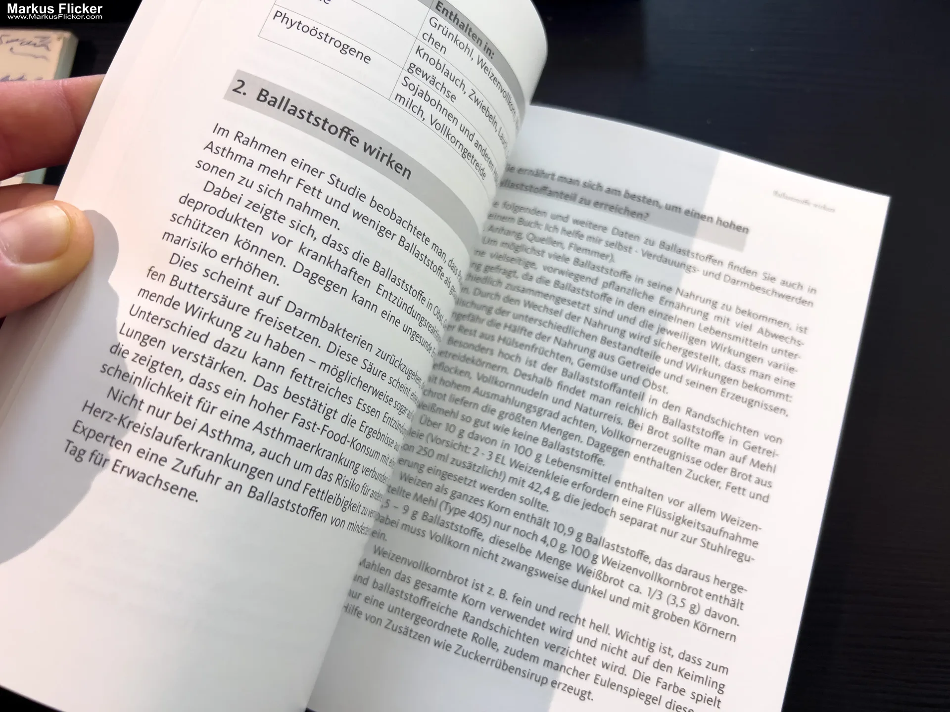 Asthma – Das Selbsthilfebuch von Andrea Flemmer