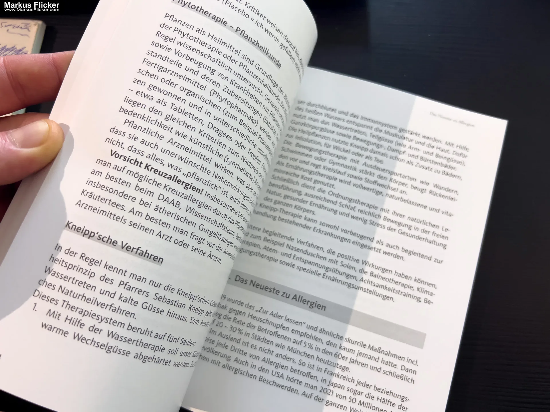 Asthma – Das Selbsthilfebuch von Andrea Flemmer