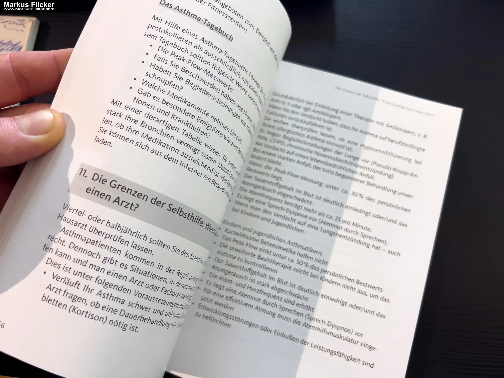 Asthma – Das Selbsthilfebuch von Andrea Flemmer