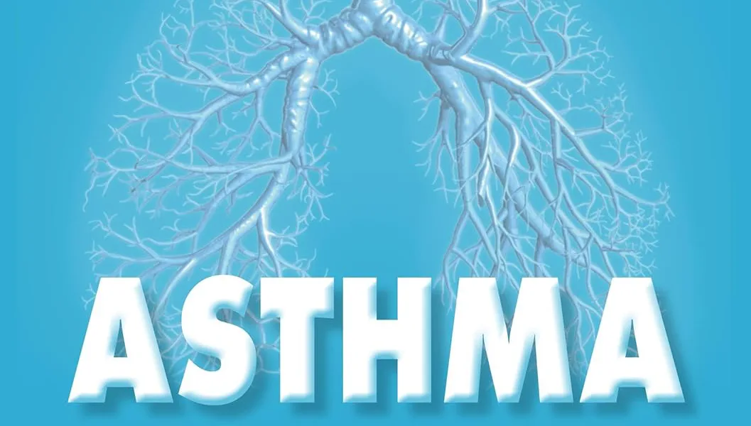 Asthma – Das Selbsthilfebuch von Andrea Flemmer