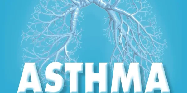 Asthma – Das Selbsthilfebuch von Andrea Flemmer