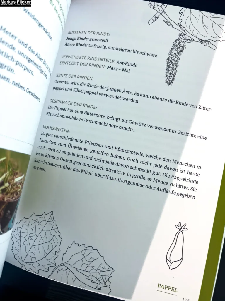 Rindenküche: Köstlichkeiten aus Baum- und Strauchrinden von Denise Grahofer und Eunike Grahofer