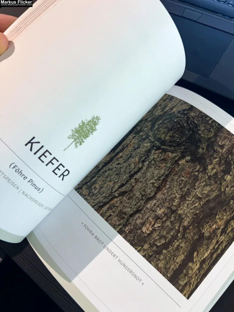 Rindenküche: Köstlichkeiten aus Baum- und Strauchrinden von Denise Grahofer und Eunike Grahofer