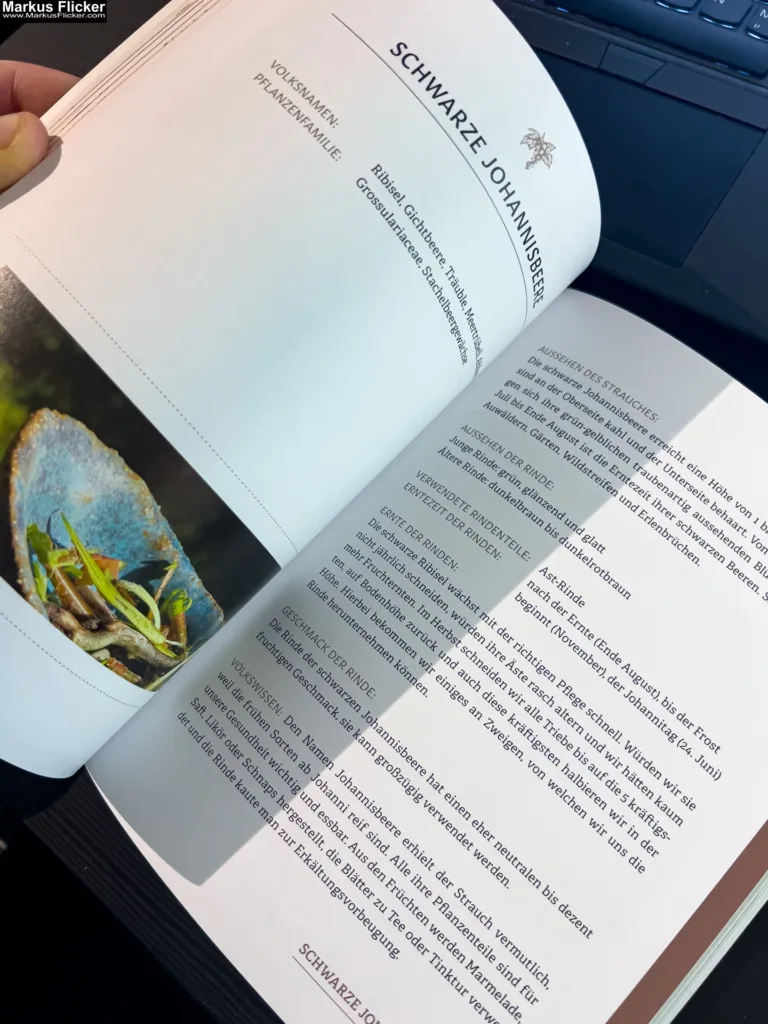 Rindenküche: Köstlichkeiten aus Baum- und Strauchrinden von Denise Grahofer und Eunike Grahofer