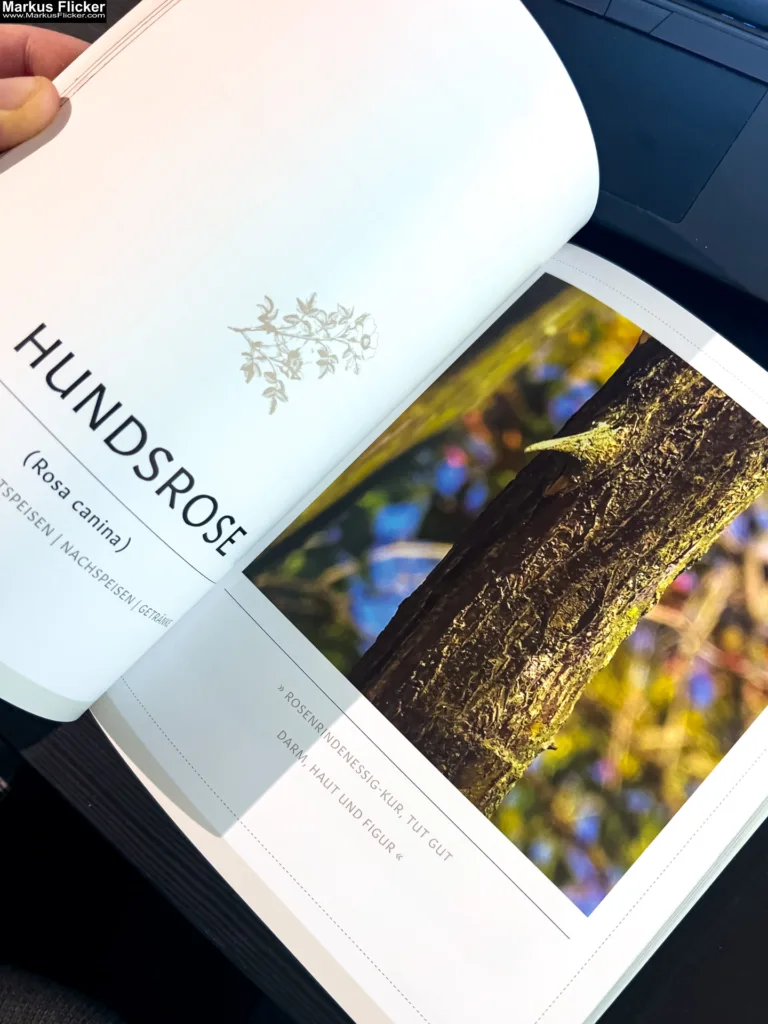 Rindenküche: Köstlichkeiten aus Baum- und Strauchrinden von Denise Grahofer und Eunike Grahofer