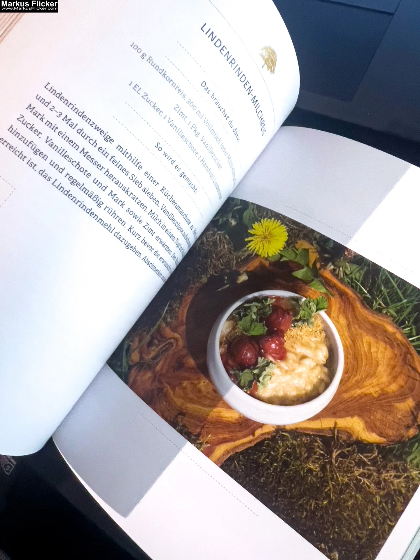 Rindenküche: Köstlichkeiten aus Baum- und Strauchrinden von Denise Grahofer und Eunike Grahofer