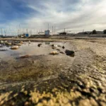 Möwen an der Adria am Meer mit dem Smartphone in Slowenien Izola Isola fotografieren und filmen. Fotografieren und Filmen mit dem Smartphone: Bessere Fotos und Videos mit dem Handy für Freizeit, Hobby und Business
