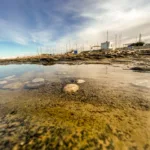 Möwen an der Adria am Meer mit dem Smartphone in Slowenien Izola Isola fotografieren und filmen. Fotografieren und Filmen mit dem Smartphone: Bessere Fotos und Videos mit dem Handy für Freizeit, Hobby und Business