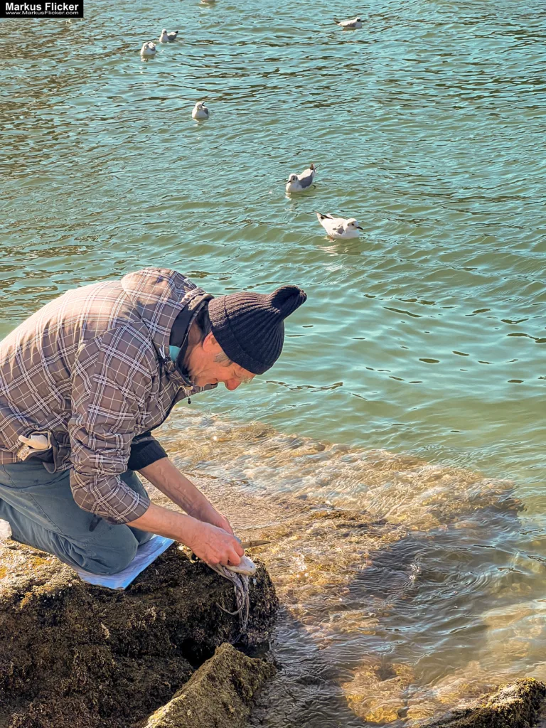 Möwen an der Adria am Meer mit dem Smartphone in Slowenien Izola Isola fotografieren und filmen. Fotografieren und Filmen mit dem Smartphone: Bessere Fotos und Videos mit dem Handy für Freizeit, Hobby und Business