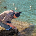Möwen an der Adria am Meer mit dem Smartphone in Slowenien Izola Isola fotografieren und filmen. Fotografieren und Filmen mit dem Smartphone: Bessere Fotos und Videos mit dem Handy für Freizeit, Hobby und Business