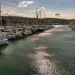 Möwen an der Adria am Meer mit dem Smartphone in Slowenien Izola Isola fotografieren und filmen. Fotografieren und Filmen mit dem Smartphone: Bessere Fotos und Videos mit dem Handy für Freizeit, Hobby und Business