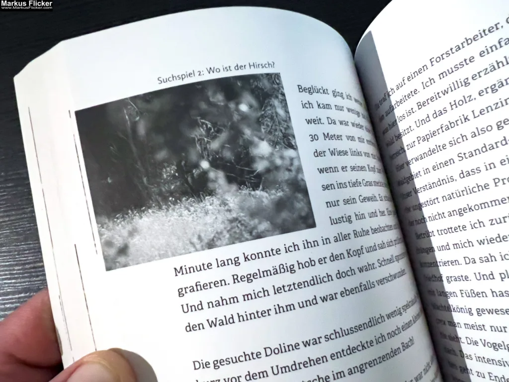 Frei in der Wildnis: Einen Monat nur mit einem Messer von Bernd Pfleger freya Verlag
