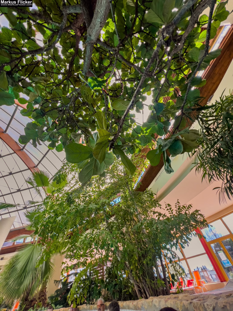 Therme Szentgotthárd Wellness Spa Erlebnisbad Sauna Rutschen Hotel Ungarn