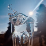 Dynamik im Detail: Wassertropfen und Gräser für DIY-Fotoprojekte