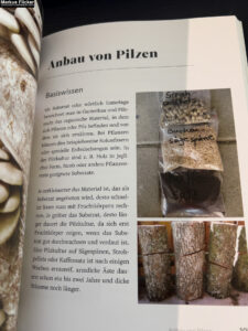 Vitalpilze: einfach entdecken, anbauen, probieren von Wolfgang Friese und Veronika Wähnert