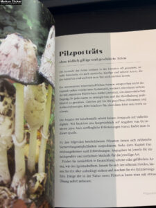 Vitalpilze: einfach entdecken, anbauen, probieren von Wolfgang Friese und Veronika Wähnert