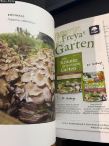 Vitalpilze: einfach entdecken, anbauen, probieren von Wolfgang Friese und Veronika Wähnert