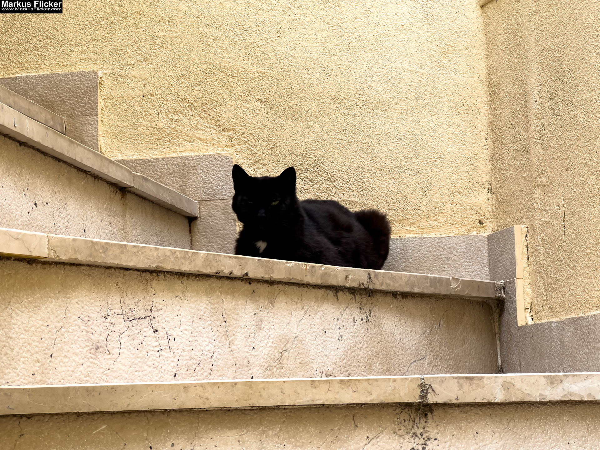 Die Stadt Krk – ein lebendiger Knotenpunkt aus Geschichte, Gegenwart und Zukunft