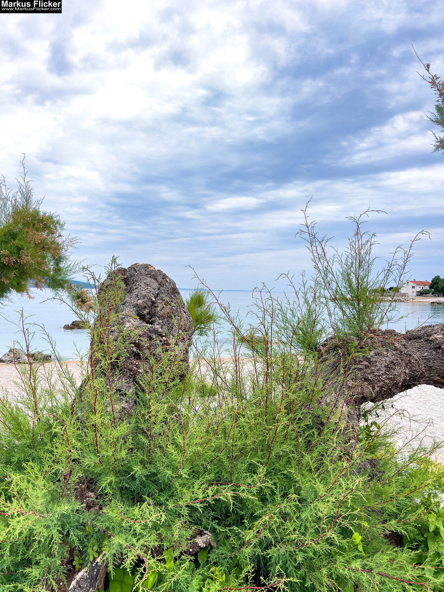 Die Stadt Krk – ein lebendiger Knotenpunkt aus Geschichte, Gegenwart und Zukunft