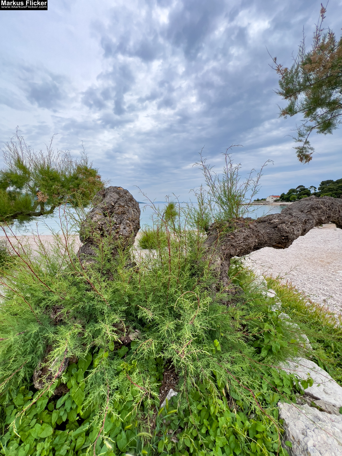 Die Stadt Krk – ein lebendiger Knotenpunkt aus Geschichte, Gegenwart und Zukunft