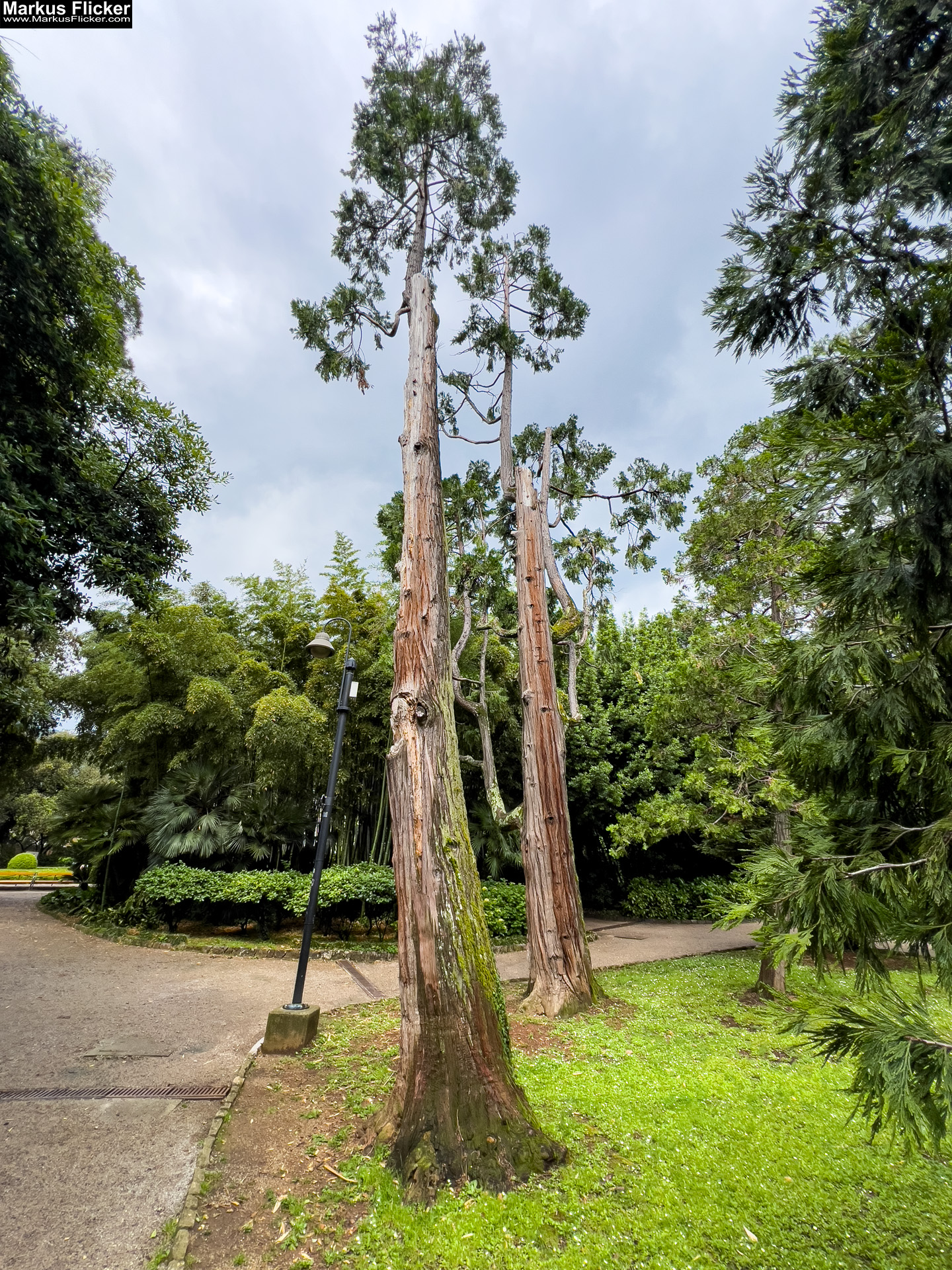Ein Hauch von Eleganz – Deine Reise nach Opatija Kroatien Kvarner Bucht