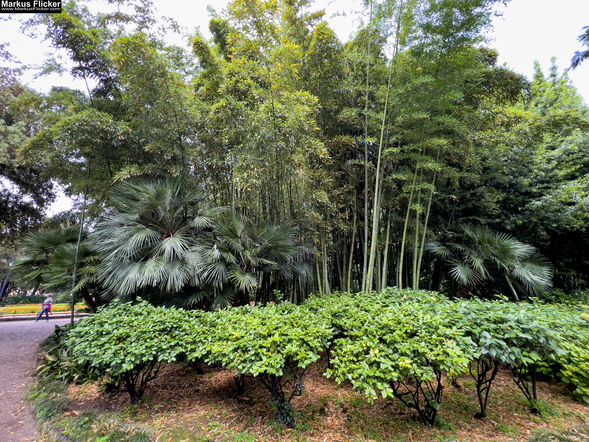 Ein Hauch von Eleganz – Deine Reise nach Opatija Kroatien Kvarner Bucht