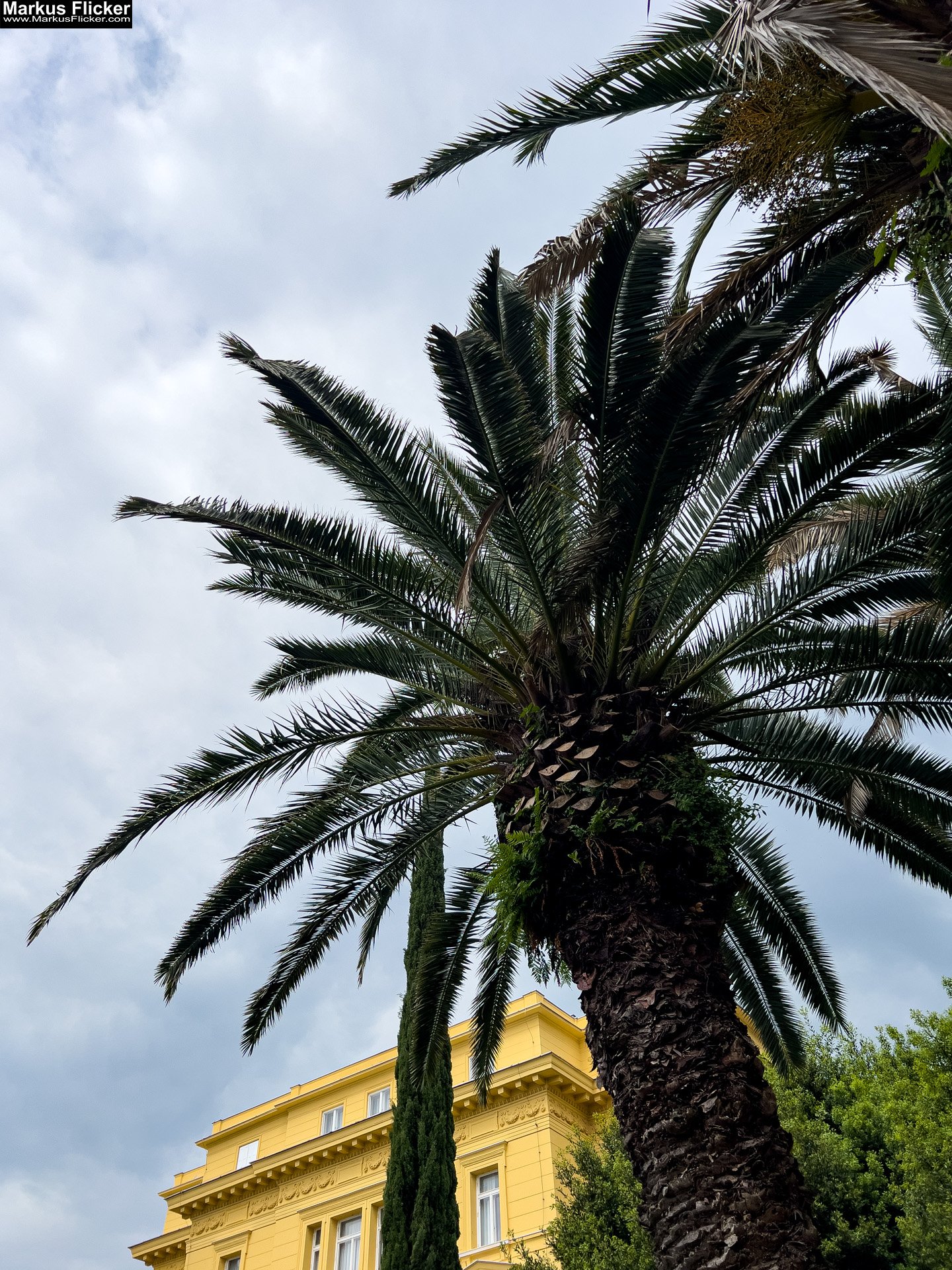 Ein Hauch von Eleganz – Deine Reise nach Opatija Kroatien Kvarner Bucht