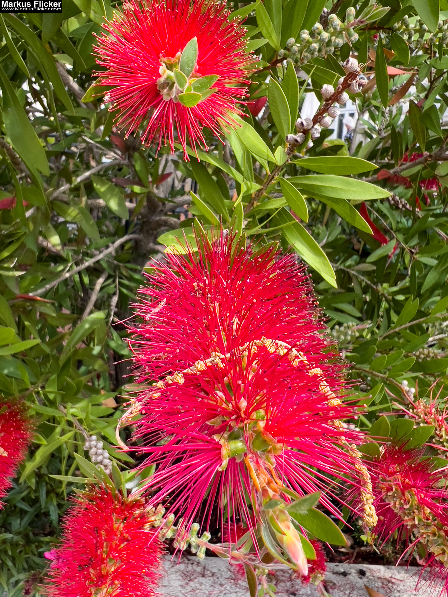 Ein Hauch von Eleganz – Deine Reise nach Opatija Kroatien Kvarner Bucht