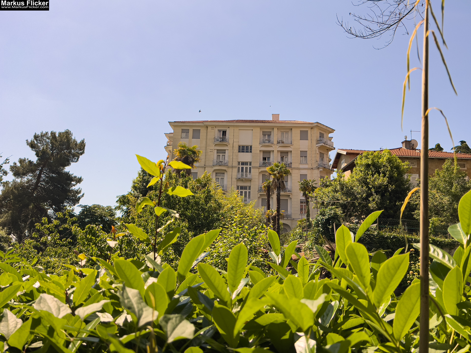 Lungomare Promenade Lovran Ufer Küste Primorje-Gorski kotar Lorbeer Istrien Kroatien Adria #visitcroatia #visitlovran