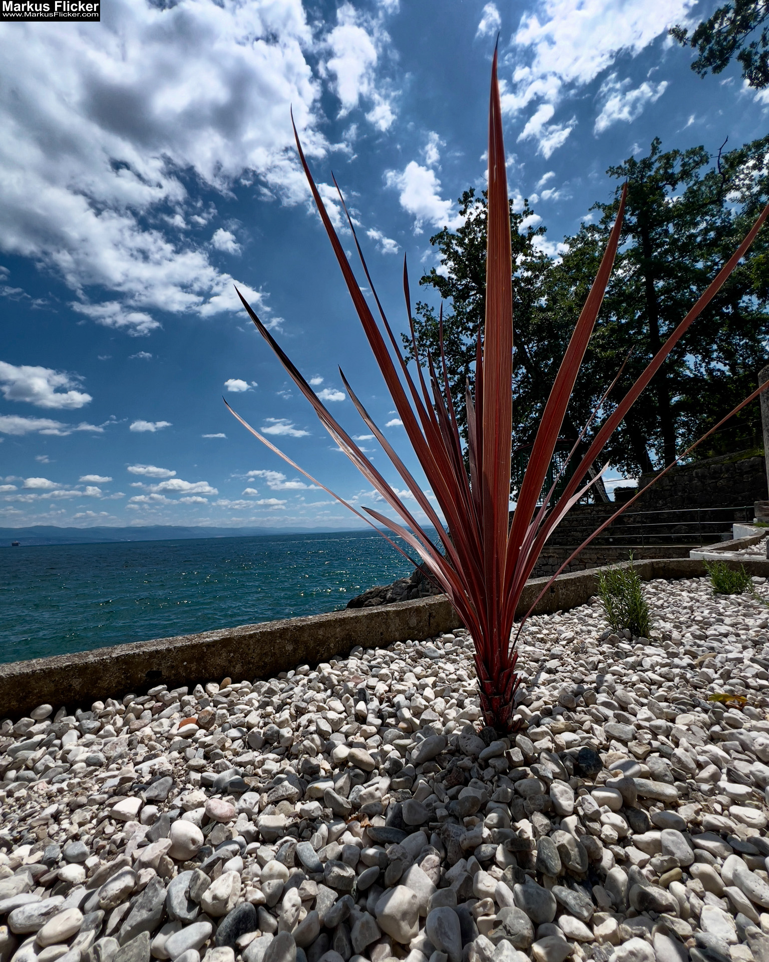 Lungomare Promenade Lovran Ufer Küste Primorje-Gorski kotar Lorbeer Istrien Kroatien Adria #visitcroatia #visitlovran