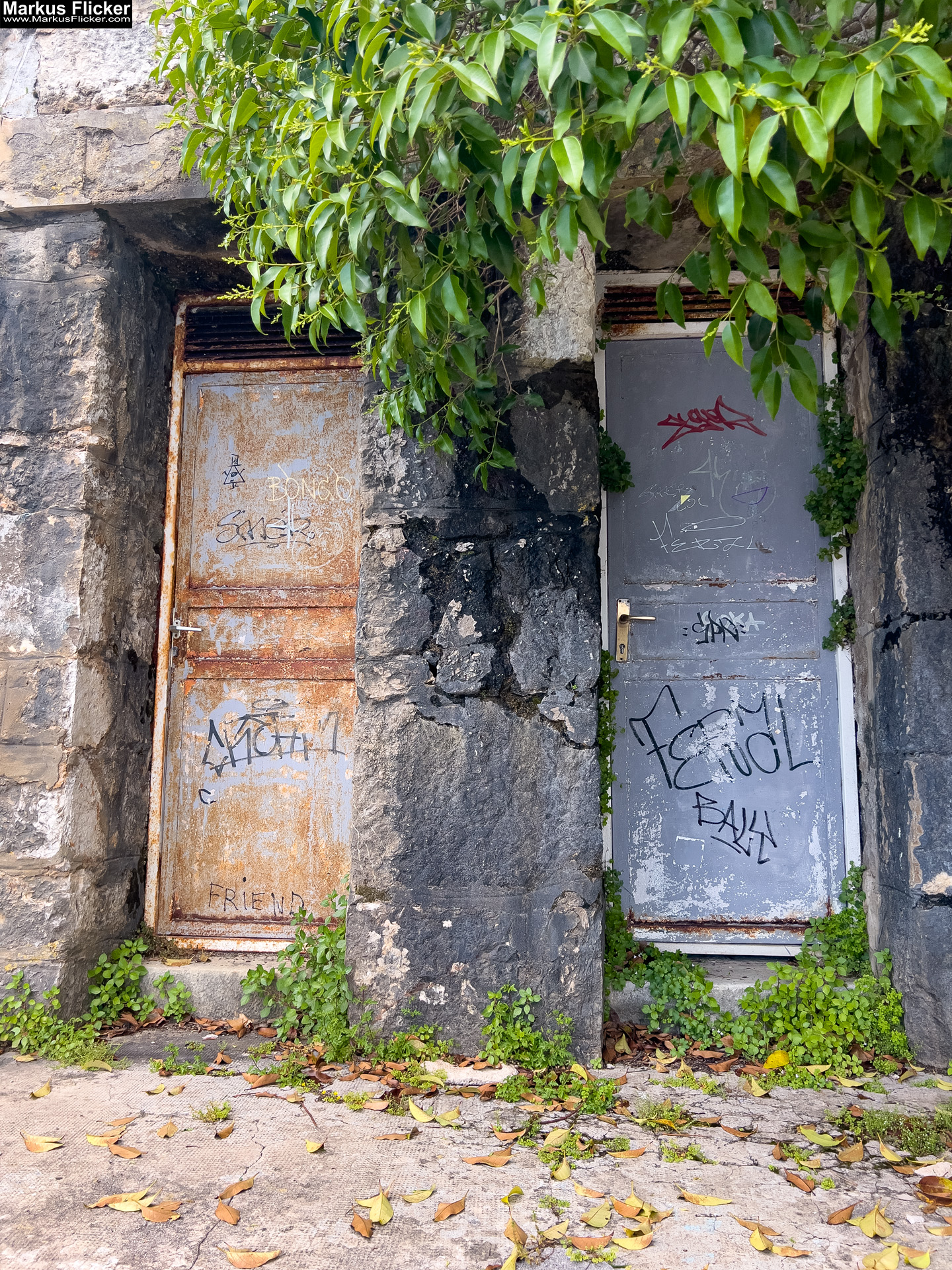 Lungomare Promenade Lovran Ufer Küste Primorje-Gorski kotar Lorbeer Istrien Kroatien Adria #visitcroatia #visitlovran