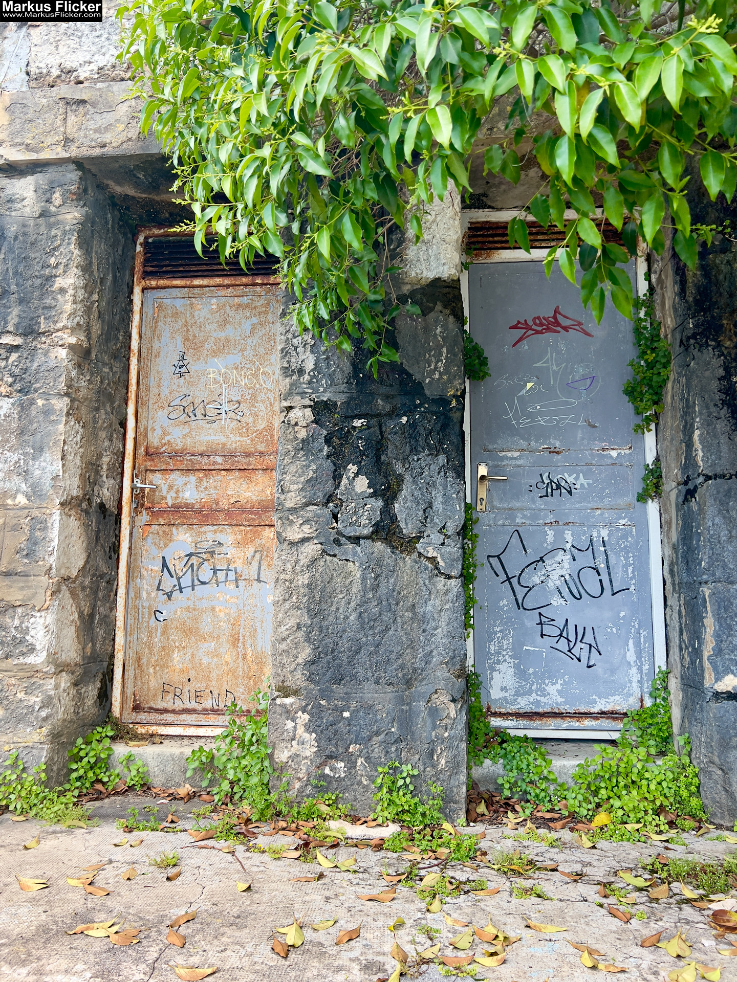 Lungomare Promenade Lovran Ufer Küste Primorje-Gorski kotar Lorbeer Istrien Kroatien Adria #visitcroatia #visitlovran