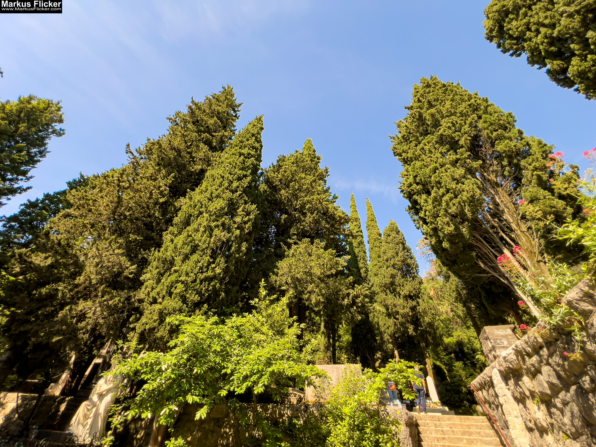 Spomen Kosturnica Palim Borcima Groblje Lovran Friedhof Lovran Ufer Küste Primorje-Gorski kotar Lorbeer Istrien Kroatien Adria #visitcroatia #visitlovran