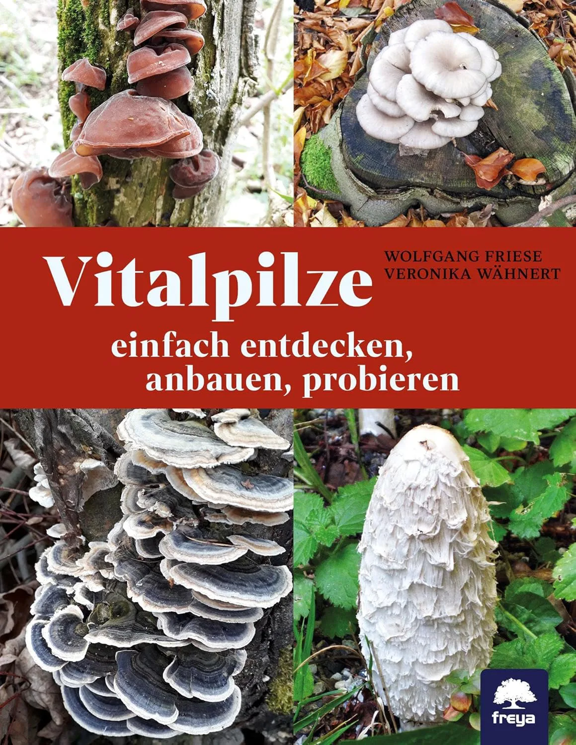 Mehr über den Artikel erfahren Vitalpilze: einfach entdecken, anbauen, probieren von Wolfgang Friese und Veronika Wähnert