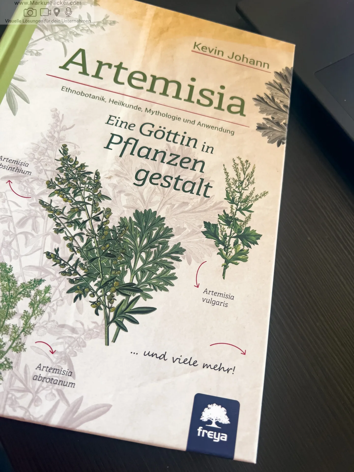 Artemisia: Eine Göttin in Pflanzengestalt von Kevin Johann freya Verlag