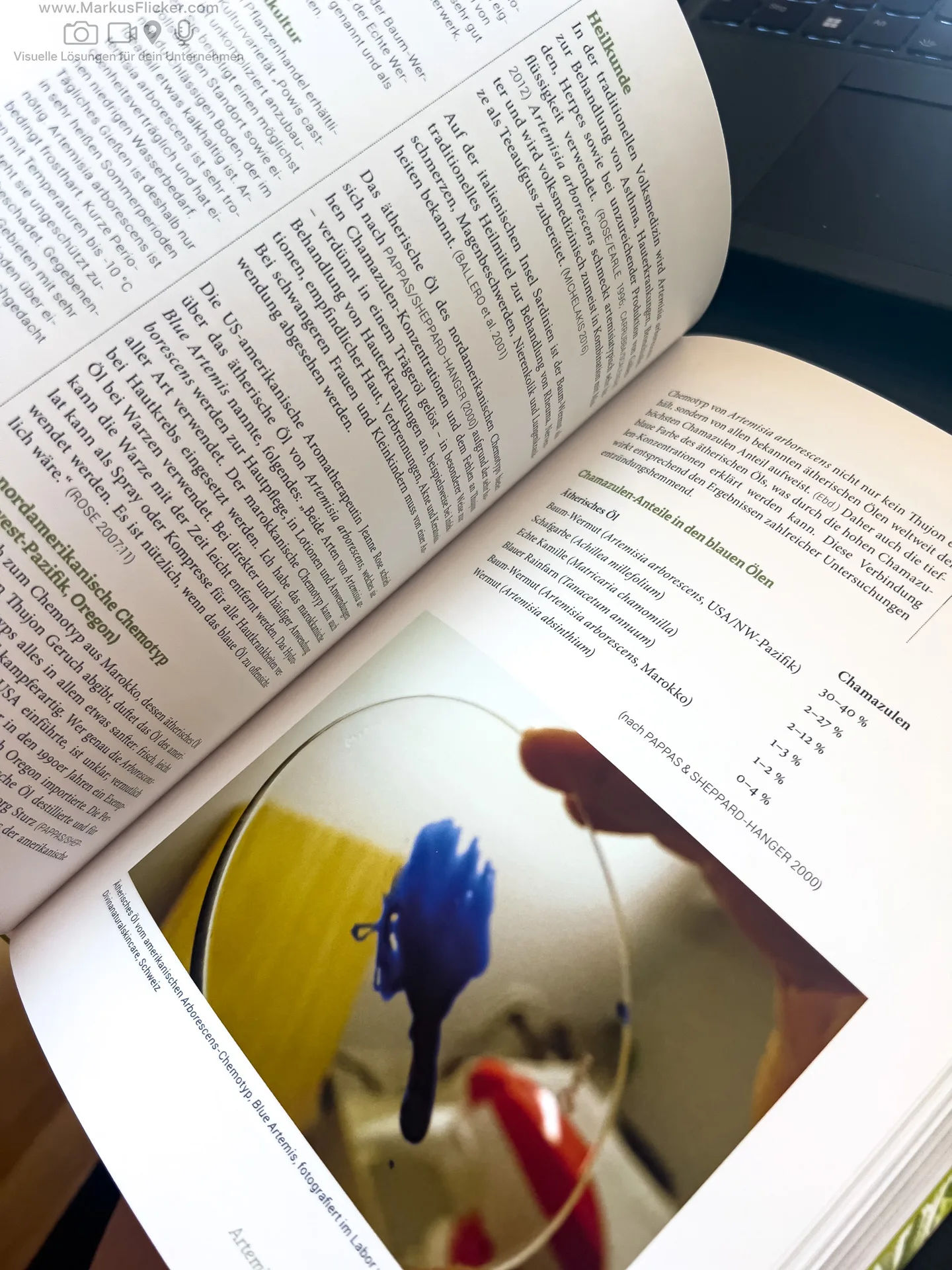 Artemisia: Eine Göttin in Pflanzengestalt von Kevin Johann freya Verlag