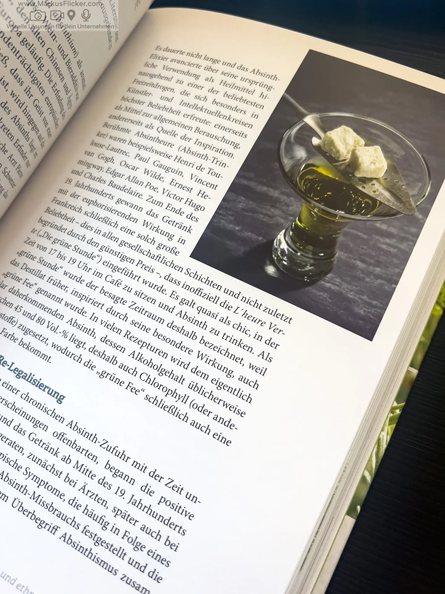 Artemisia: Eine Göttin in Pflanzengestalt von Kevin Johann freya Verlag