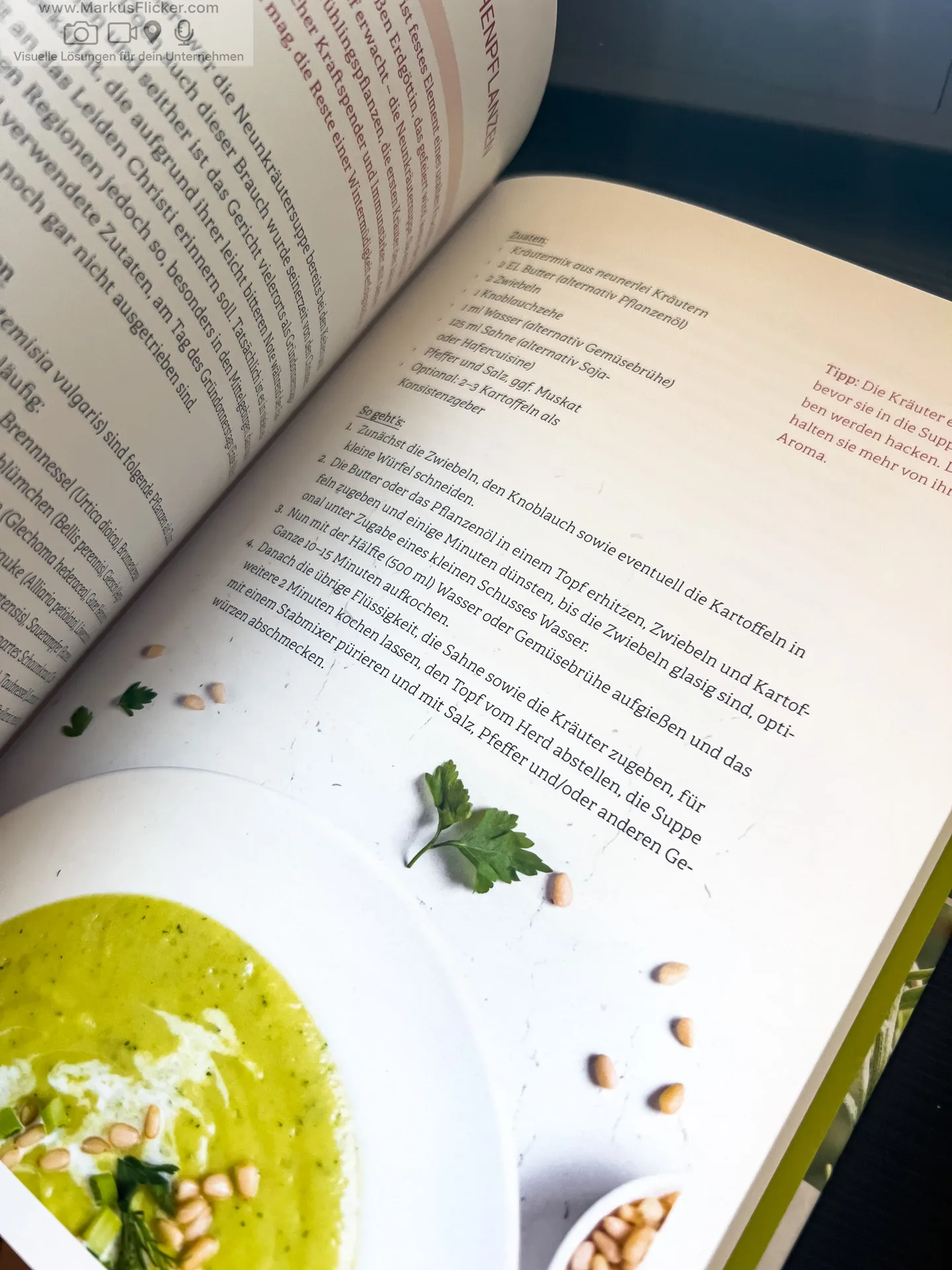 Artemisia: Eine Göttin in Pflanzengestalt von Kevin Johann freya Verlag