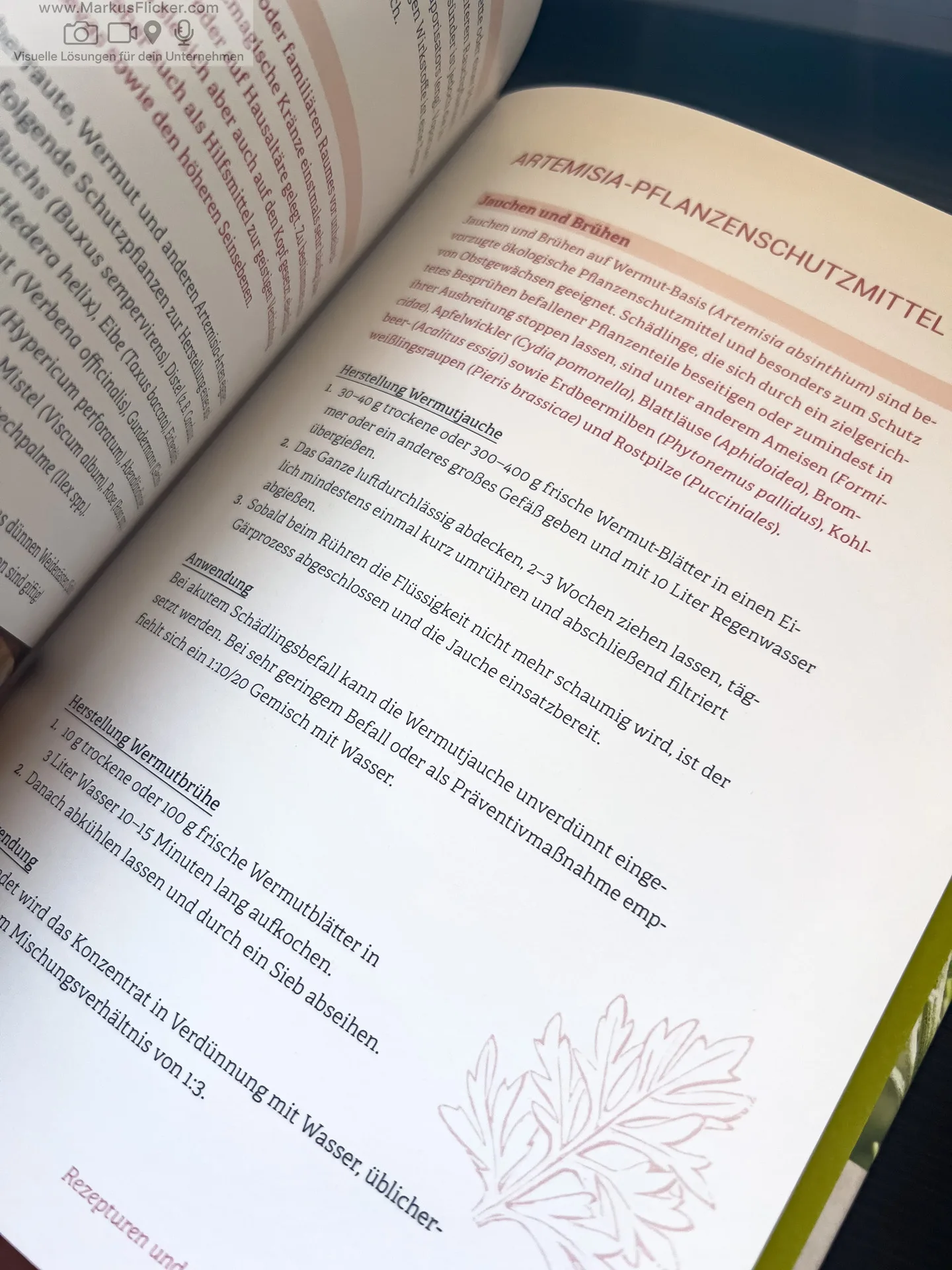 Artemisia: Eine Göttin in Pflanzengestalt von Kevin Johann freya Verlag