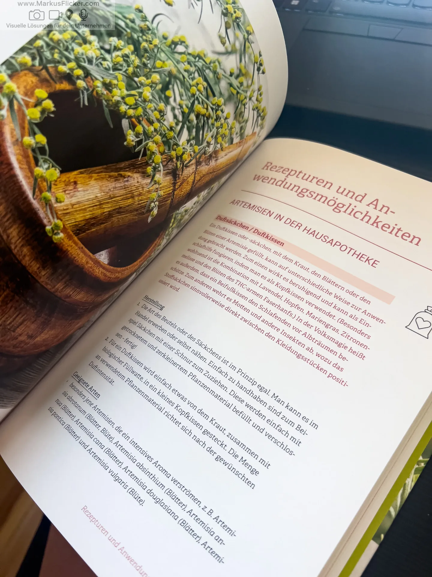 Artemisia: Eine Göttin in Pflanzengestalt von Kevin Johann freya Verlag