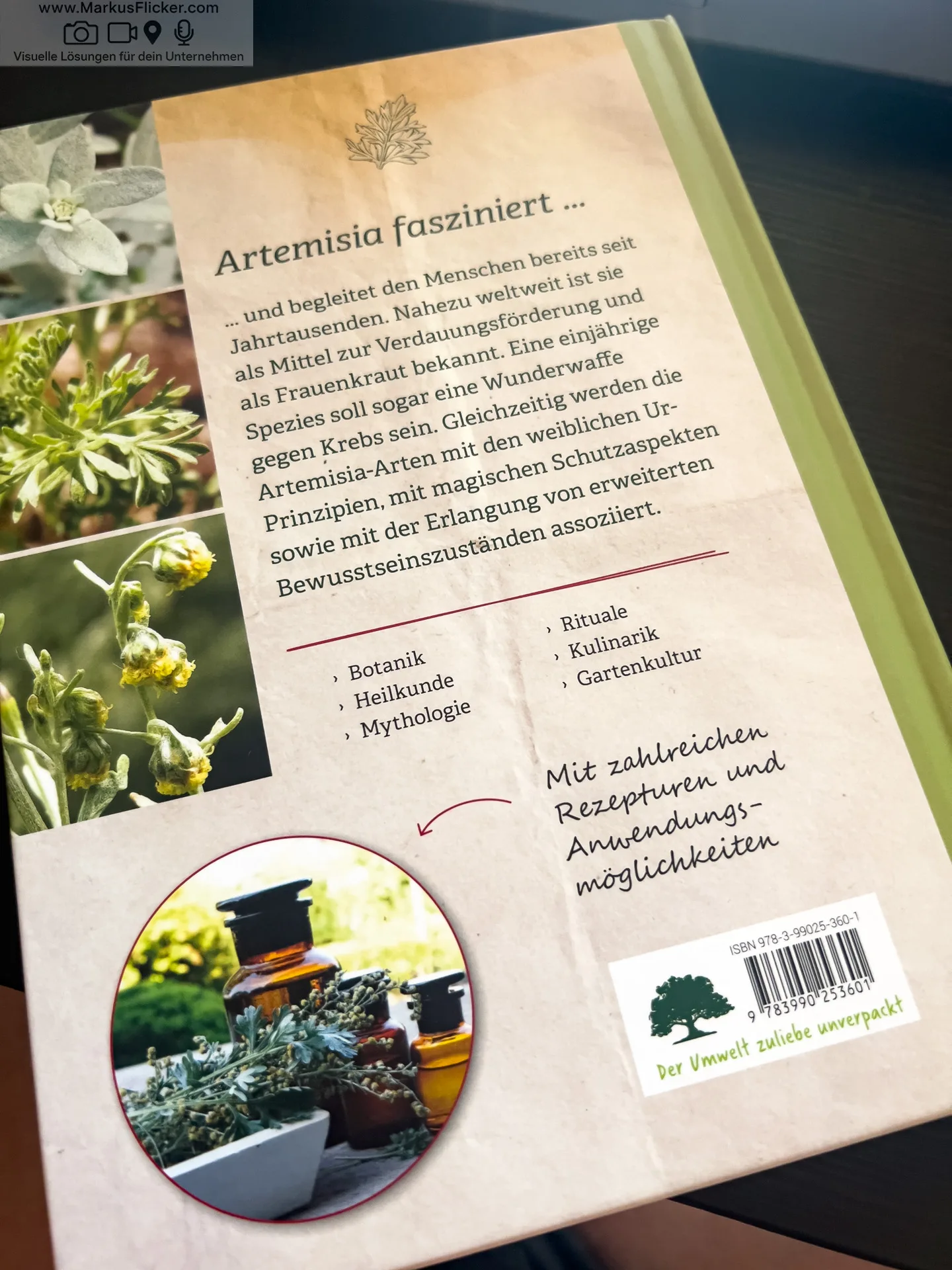 Artemisia: Eine Göttin in Pflanzengestalt von Kevin Johann freya Verlag